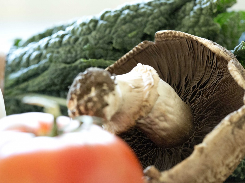 Portobello Pilz Rawismyreligion portobello-pilz-rawismyreligion