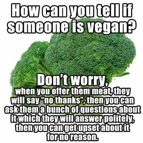 Vegan Meme