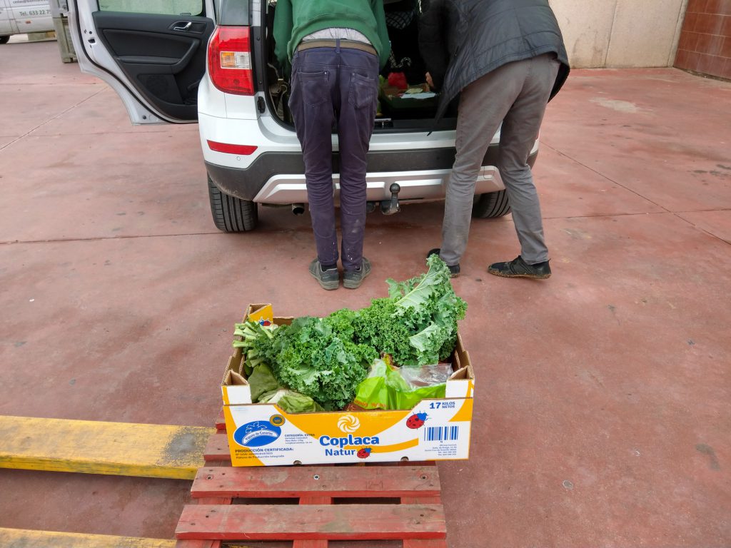 Biomelandes Bio Einkaufen in Malaga. Bio Obst und Bio Gemüse Spanien.