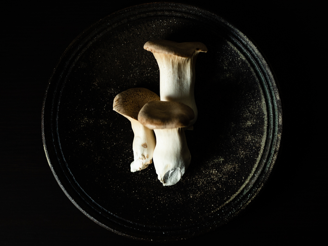 King Trumpet Mushroom