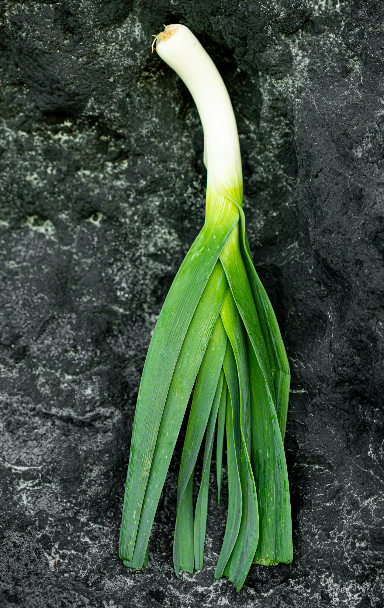 Würzig scharf. Rokostrezepte mit Lauch.