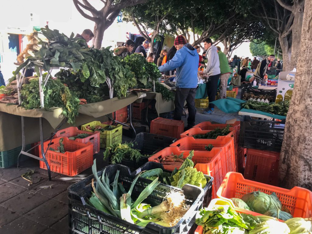 Bio Obst Bio Gemüse in Malaga kaufen. Mercado Ecológico de la Malagueta.