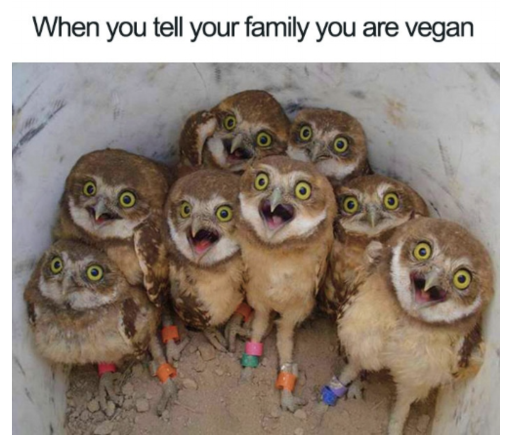 Beste vegane Memes