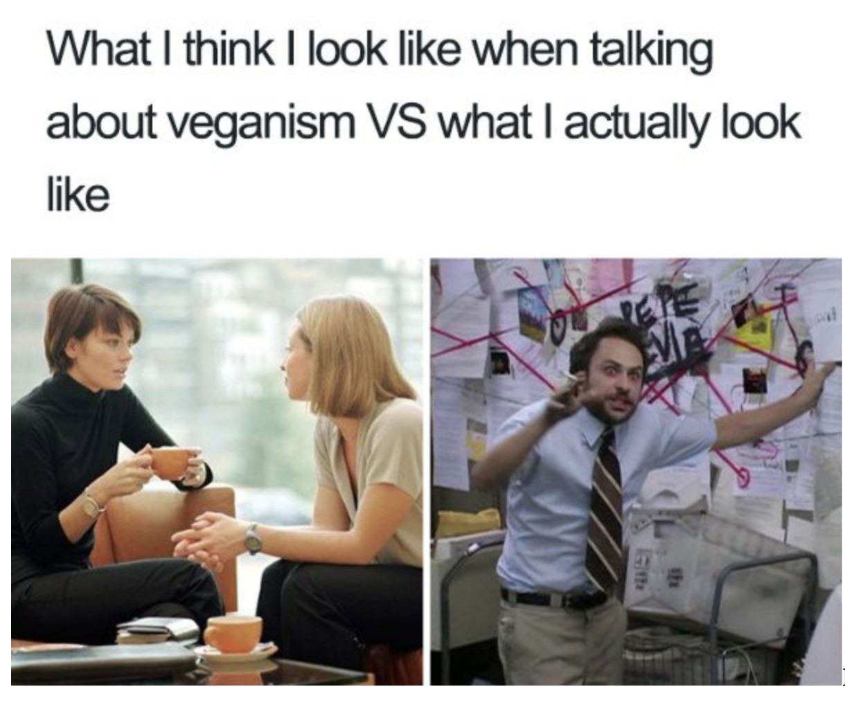 vegane Memes