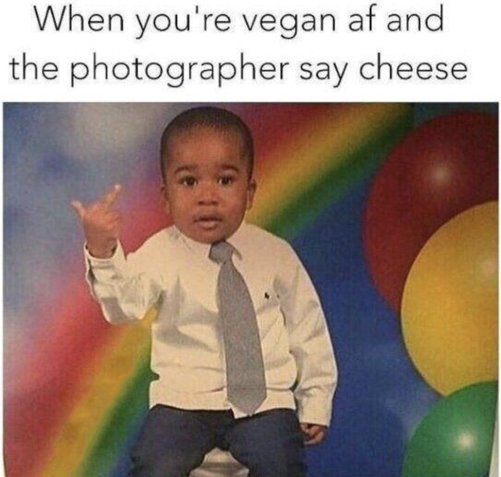 Vegan Memes