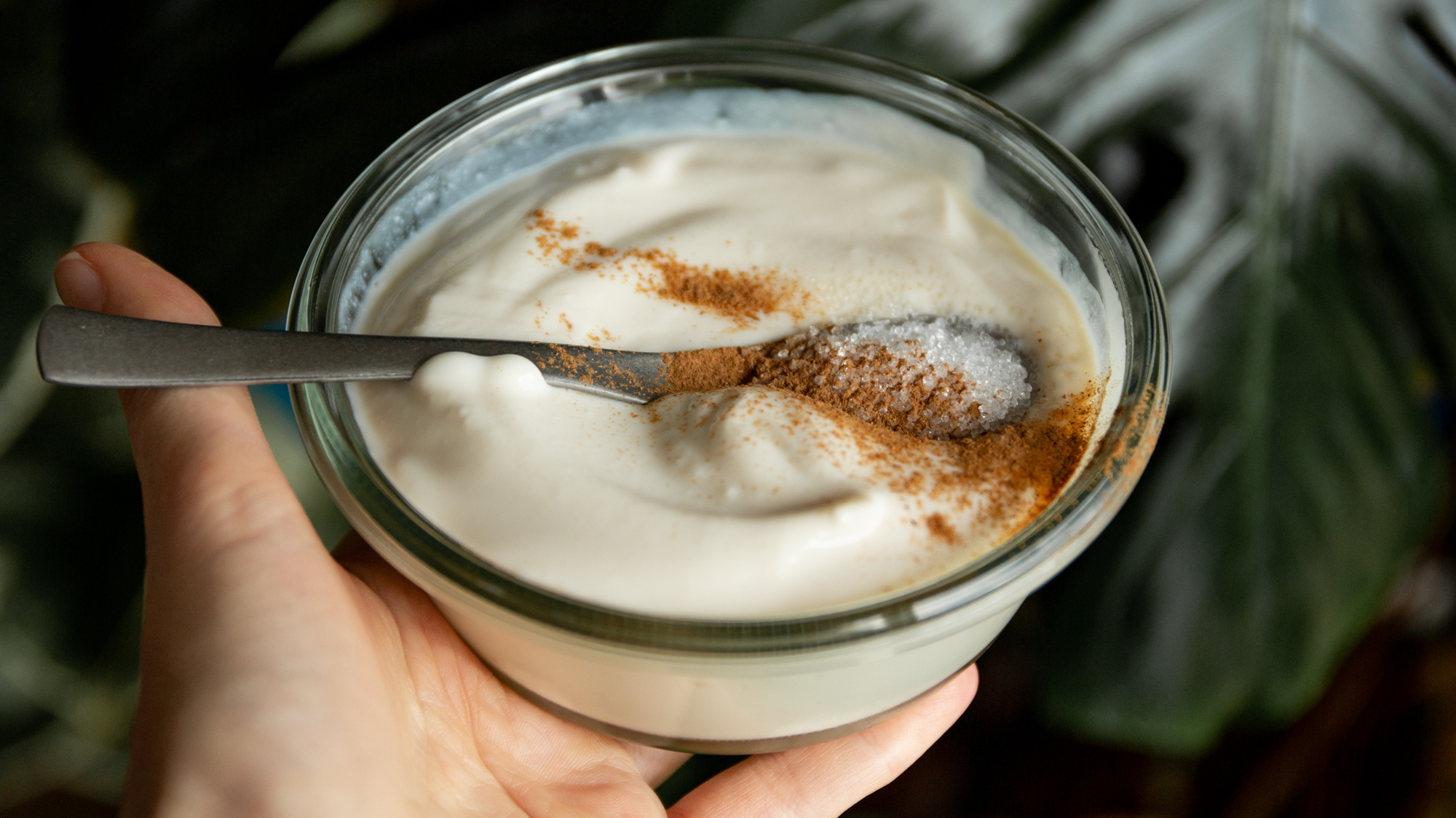 Zimt Joghurt | Rawismyreligion