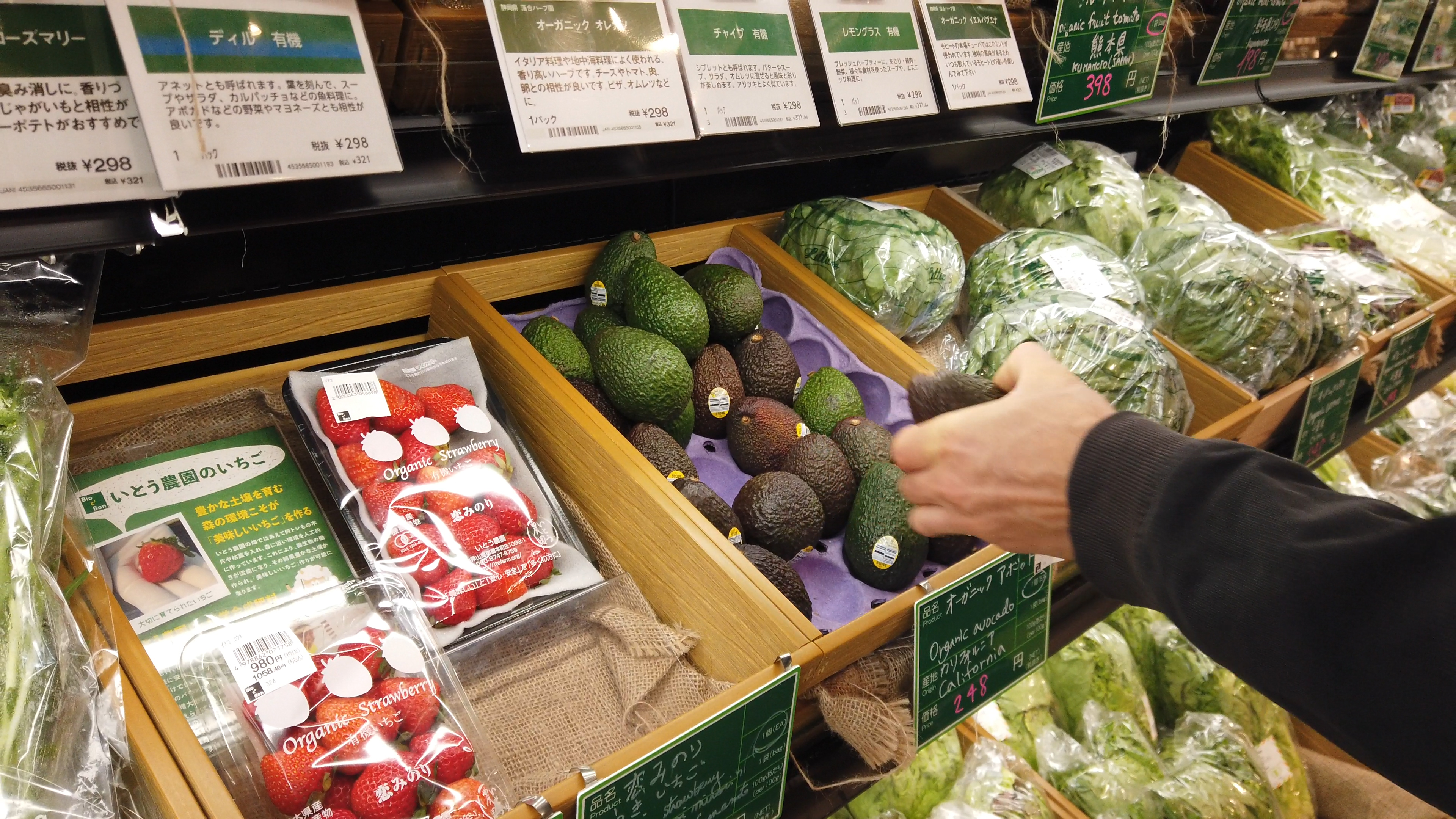 Organic Cabbage in avocado