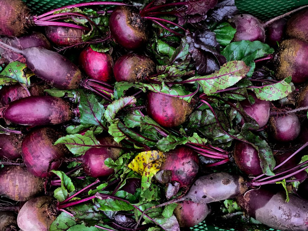 Rohkost und vegane Rezepte mit bio Roter Bete.