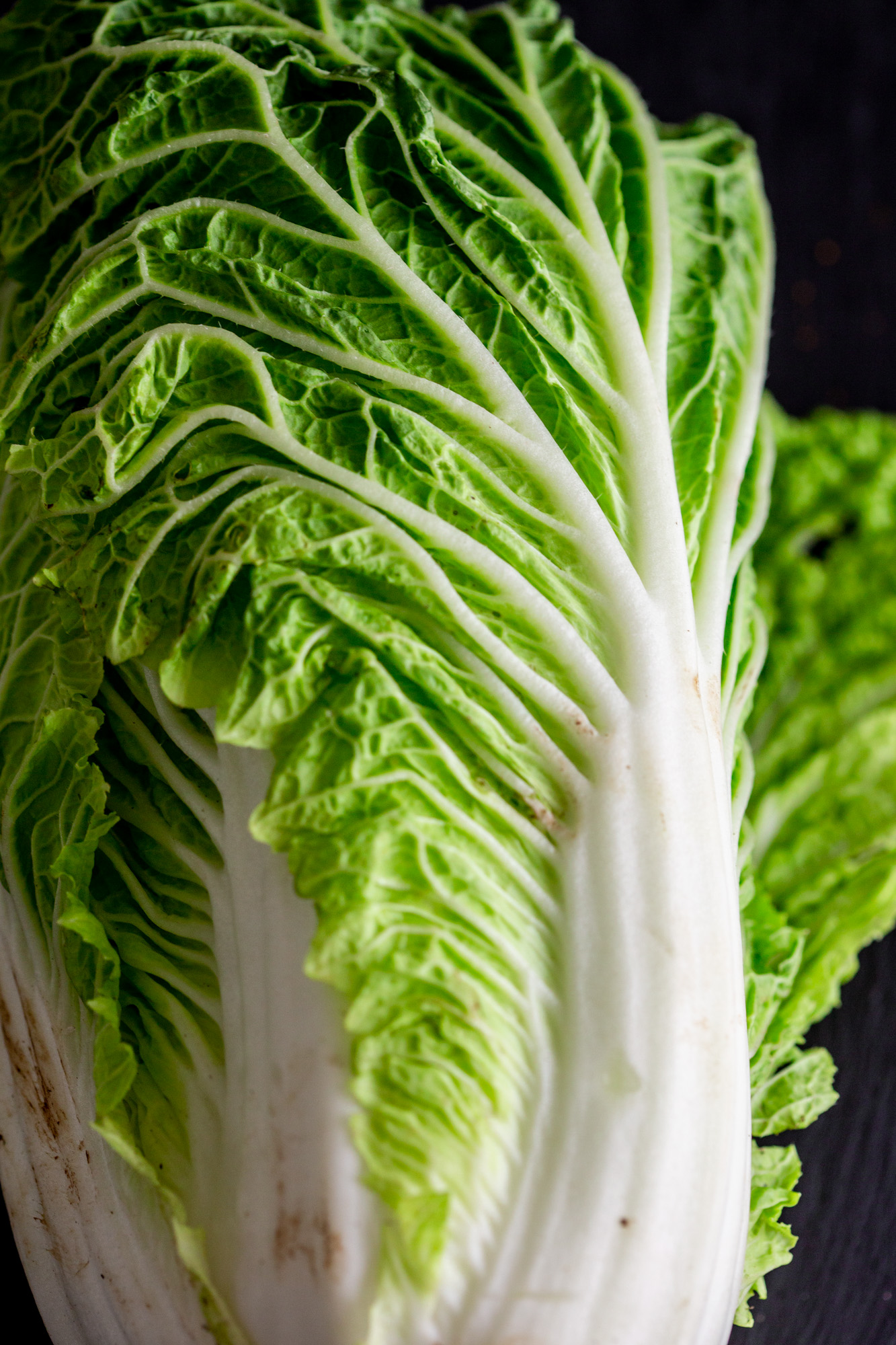 Raw vegan recipes with napa cabbage.