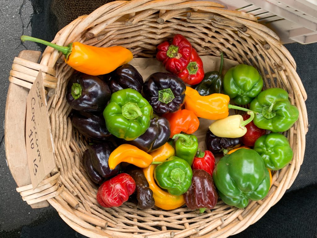 raw vegan recipes with organic bell pepper