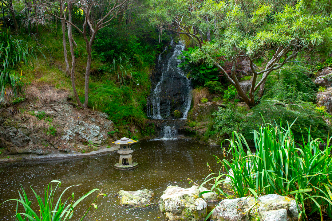 Botanical Garden in Wellington