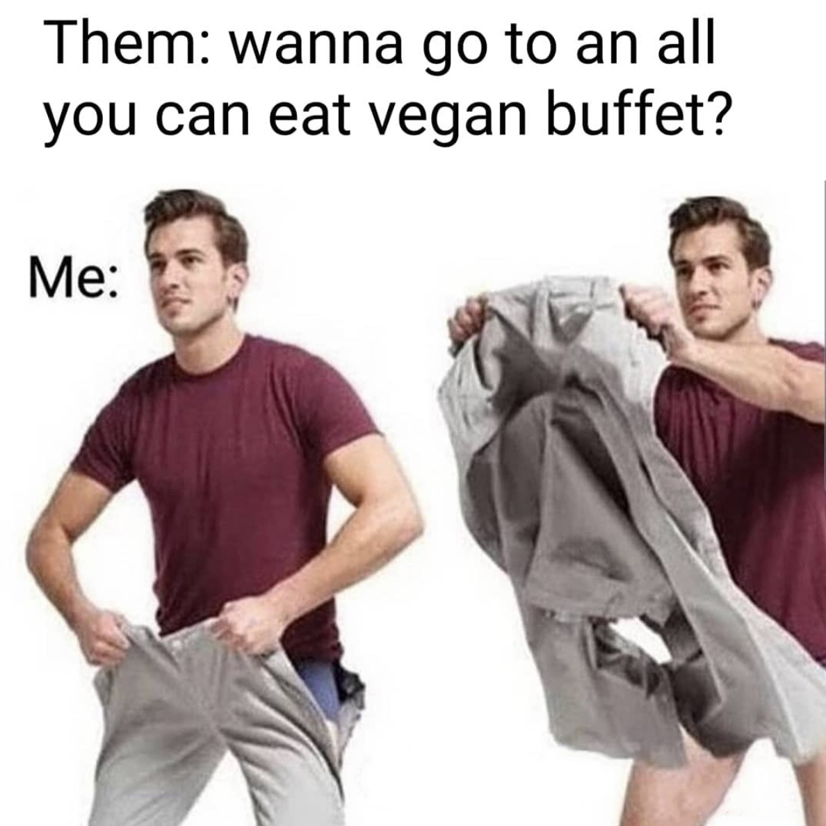 Vegan Memes