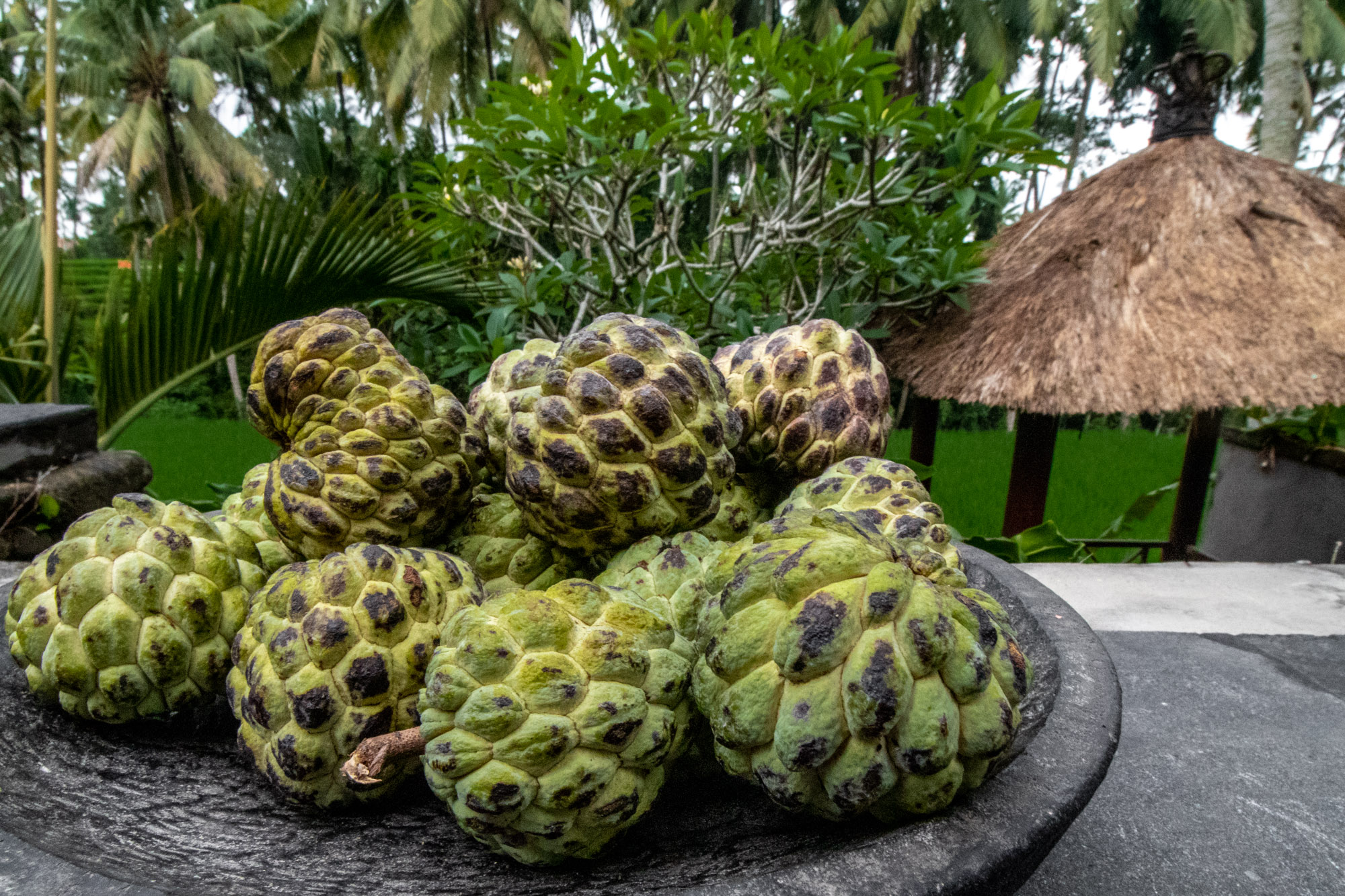 Zimtapfel Rawismyreligion