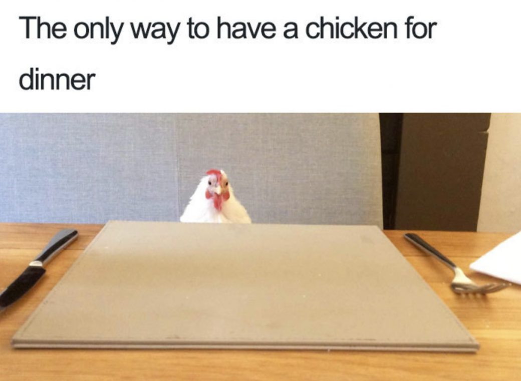 Best Vegan Memes Rawismyreligion