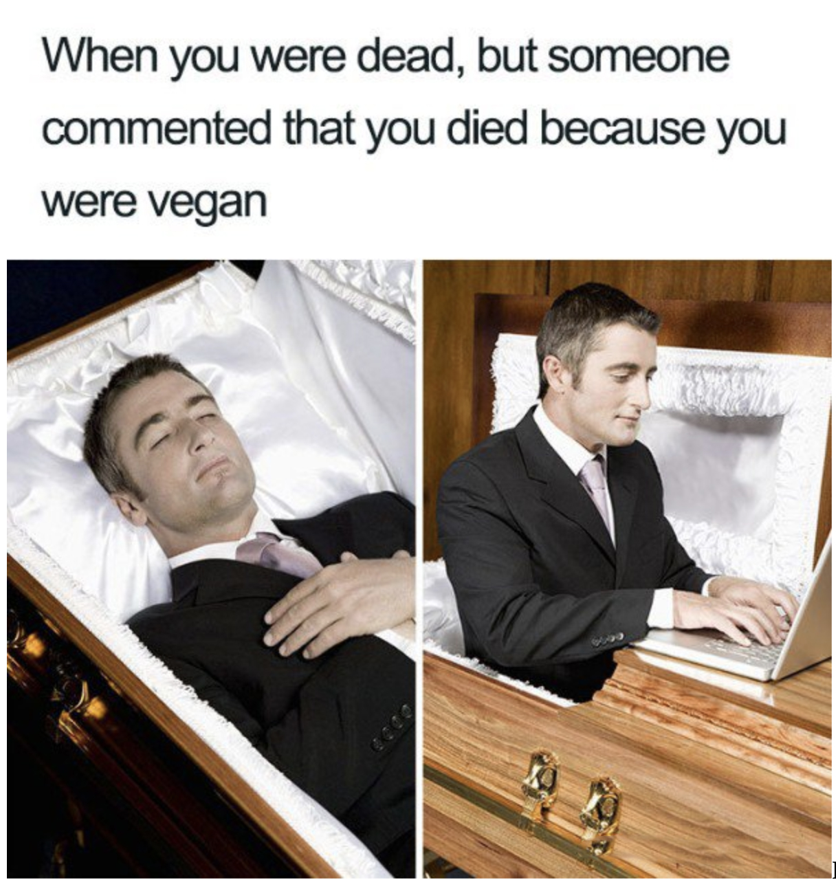 vegan Meme