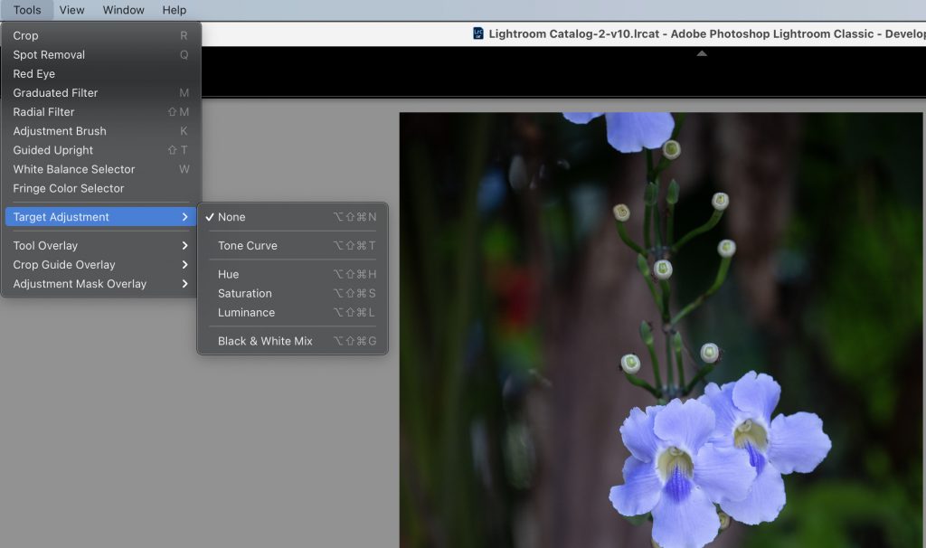 Lightroom Develop Shortcuts in the Develop Module.