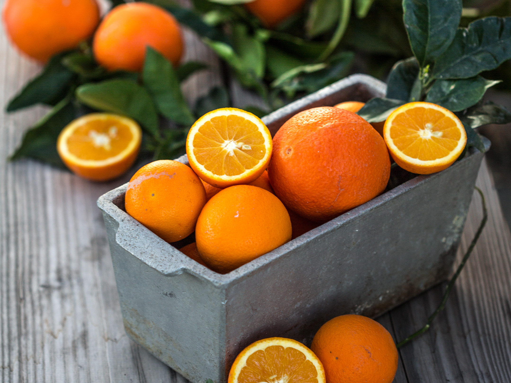 апельсины, мандарины, помело и лимоны