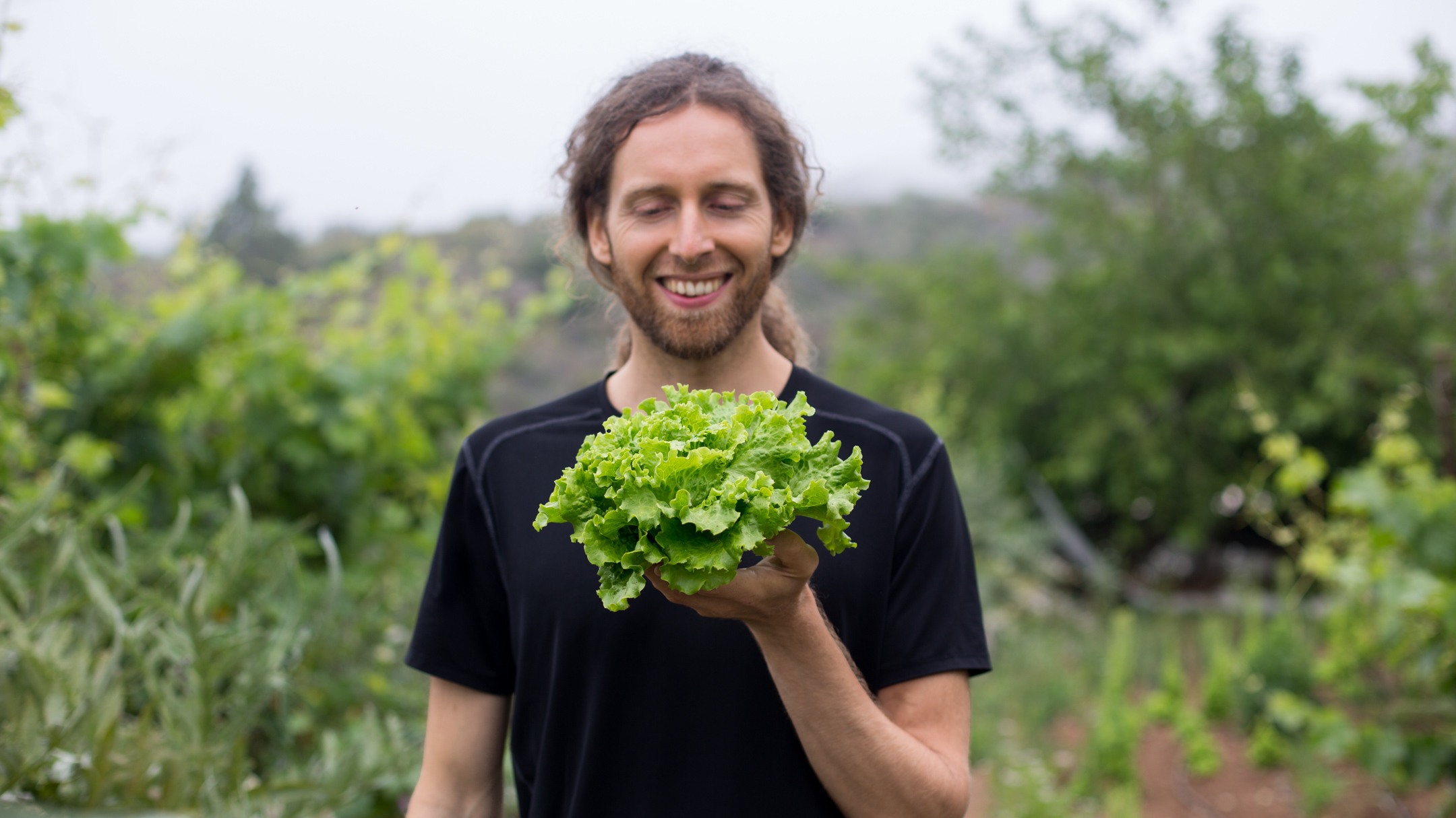 Für grüne rohkost Salate. Blattsalat kaufen und lagern.