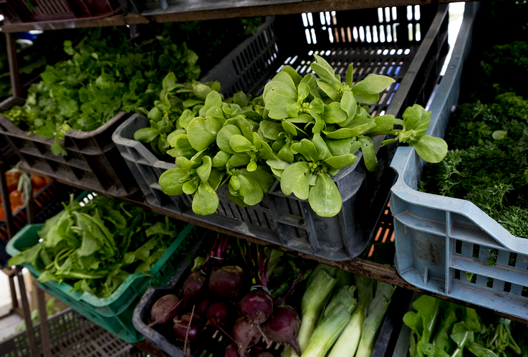 farmersmarket organic peaches fruit mom park organic market budapest purslane greens salad