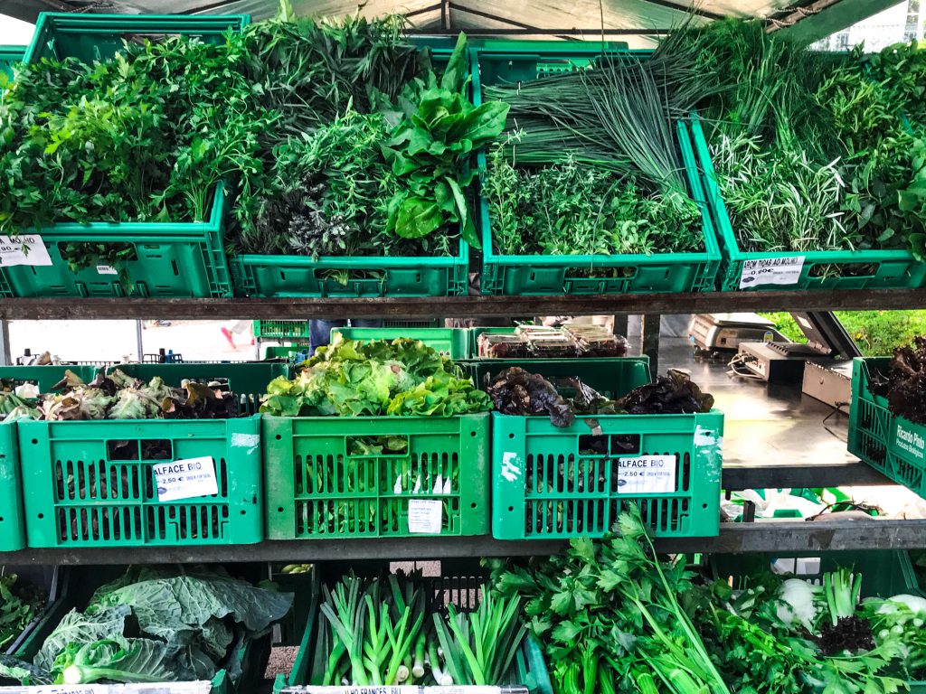 Für grüne rohkost Salate. Blattsalat kaufen und lagern.