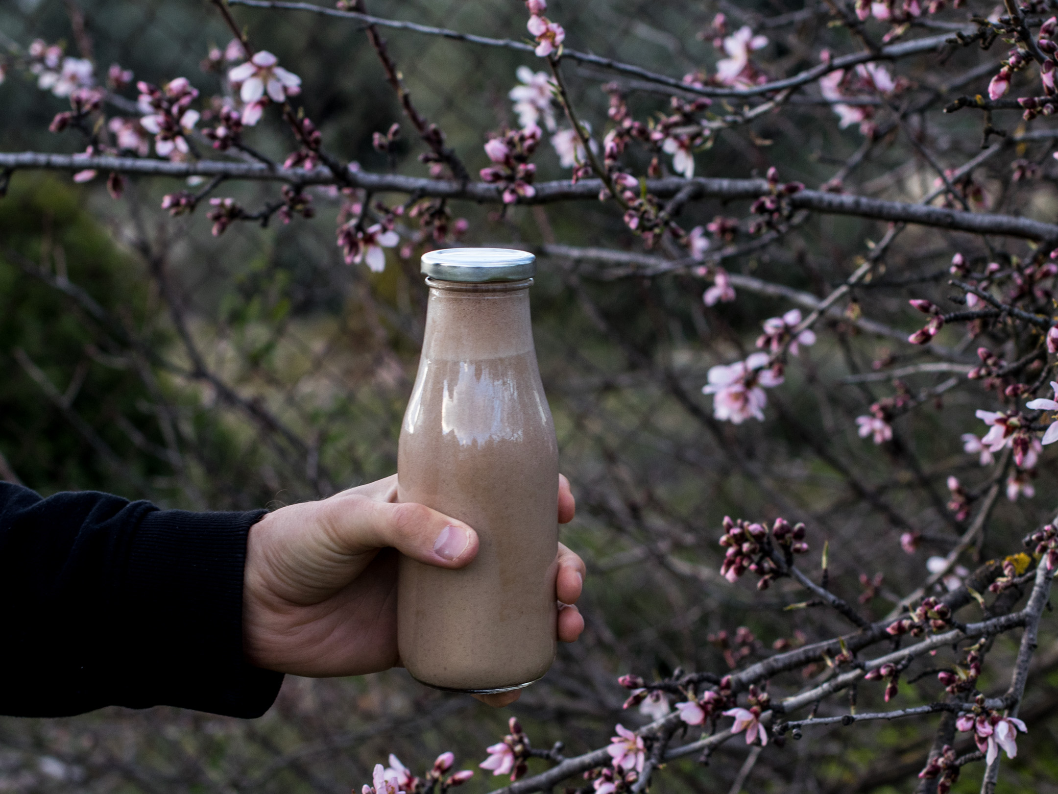 organic raw vegan drinks smoothies milk