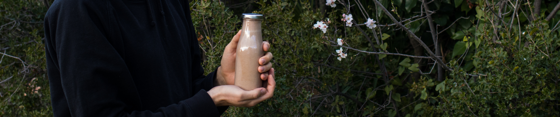 What are some good non-dairy vegan substitutes for milk? homemade chocolate milk vegan raw with hemp