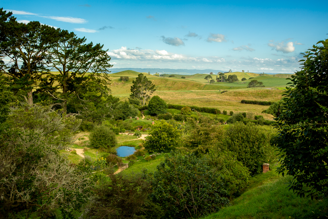 Hobbiton Movie Set