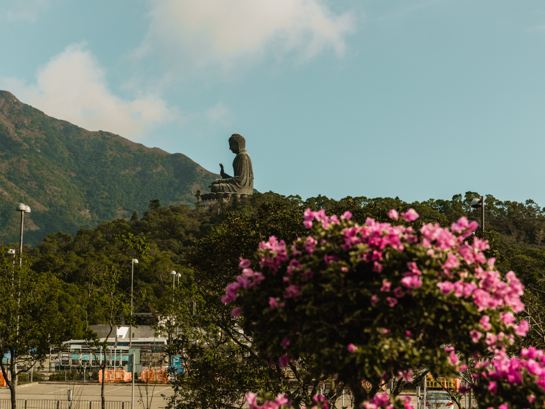 Big Buddha Hong Kong