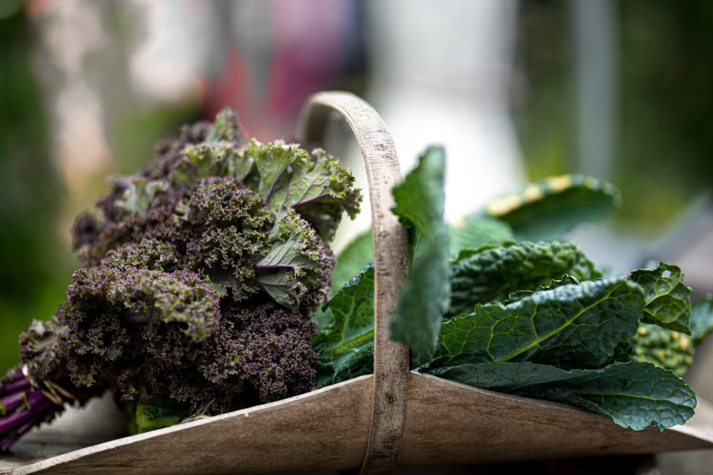 Kale Grünkohl für vegan Rohkostgerichte.