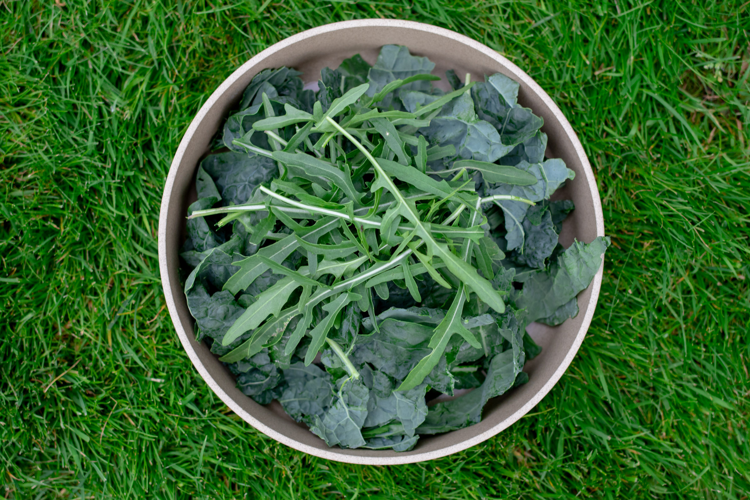 Gartensalat aus Kale mit Sauerkraut