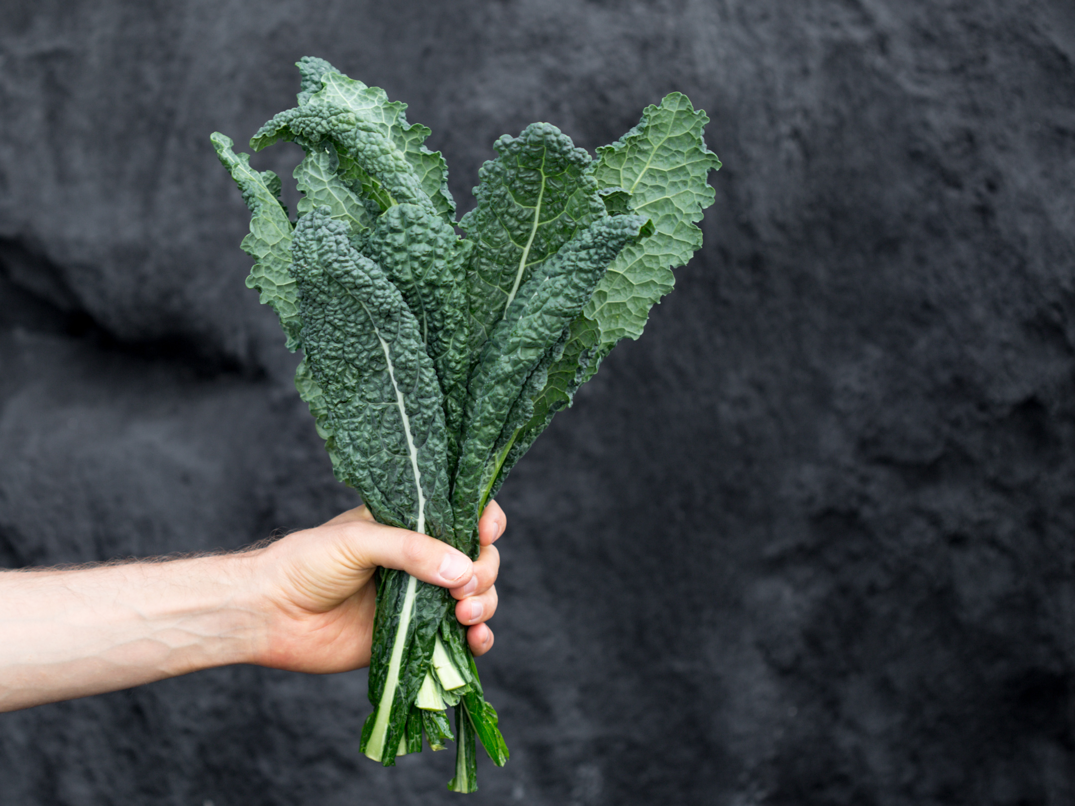 Kale Grünkohl für vegan Rohkostgerichte.