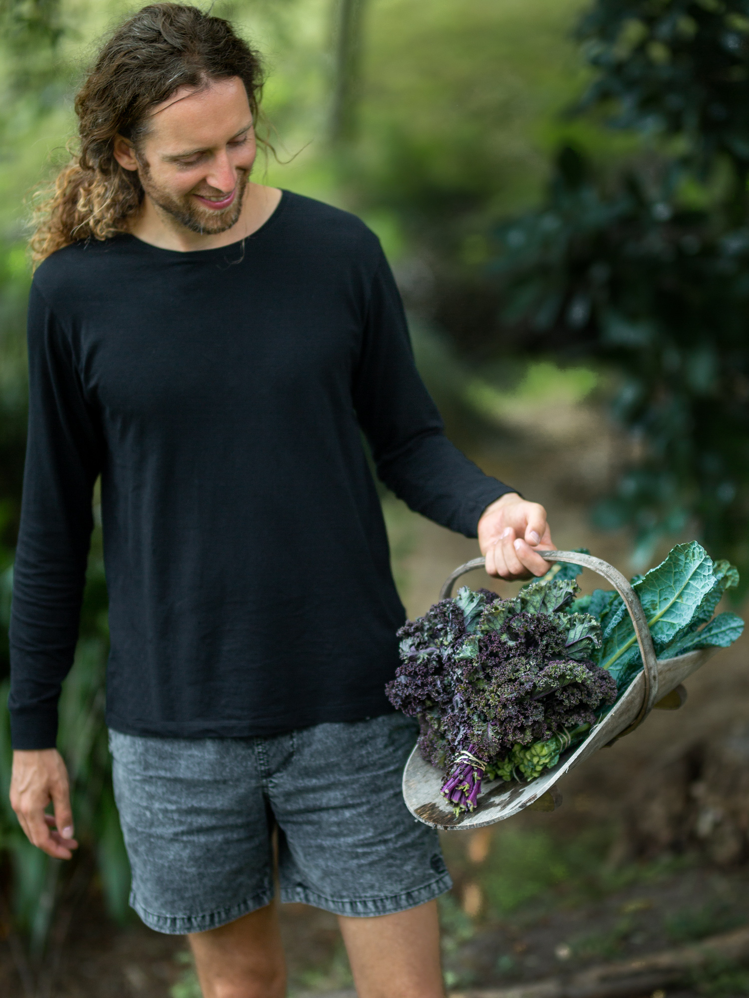 Kale Grünkohl für vegan Rohkostgerichte.