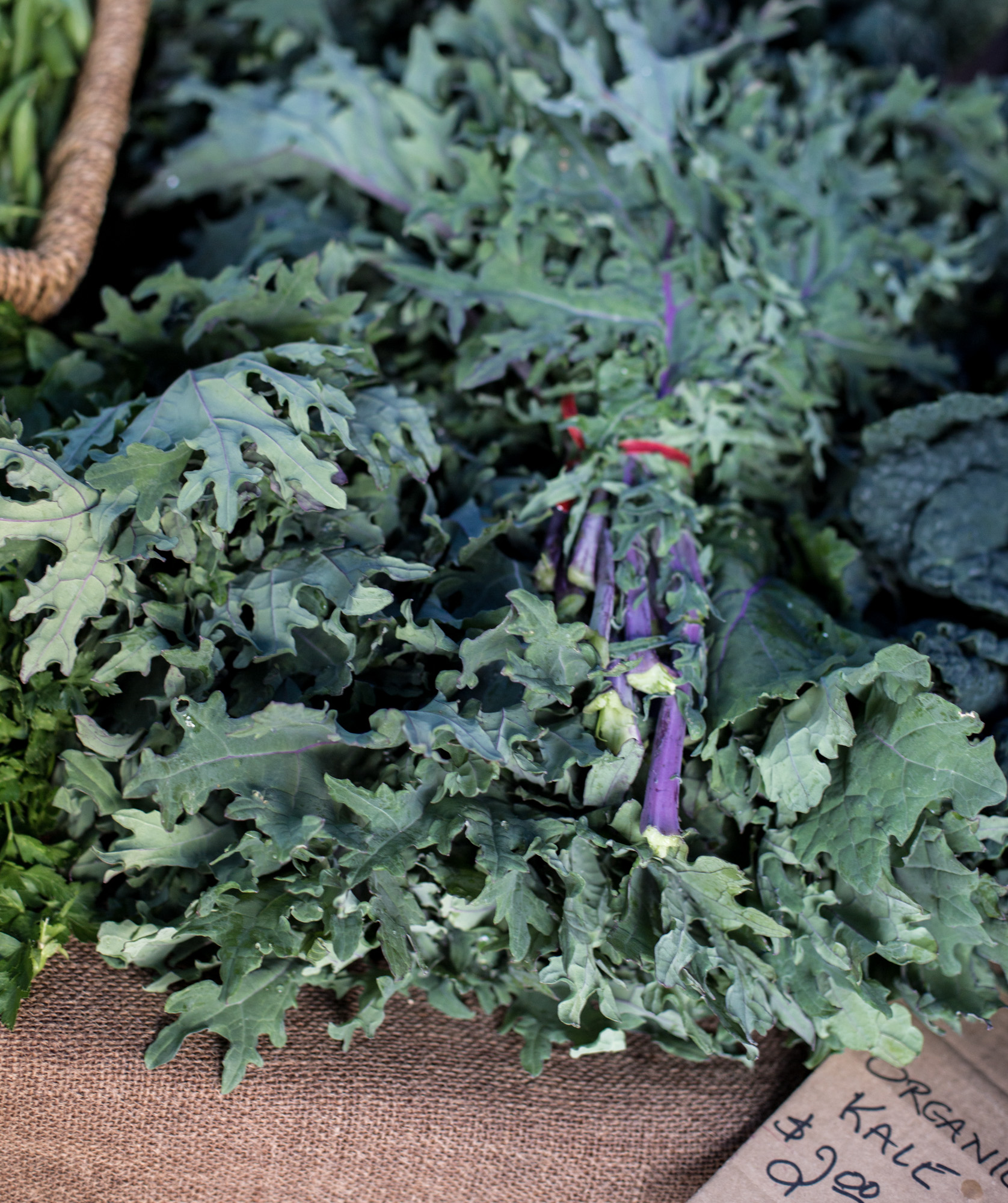 Kale Grünkohl für vegan Rohkostgerichte.