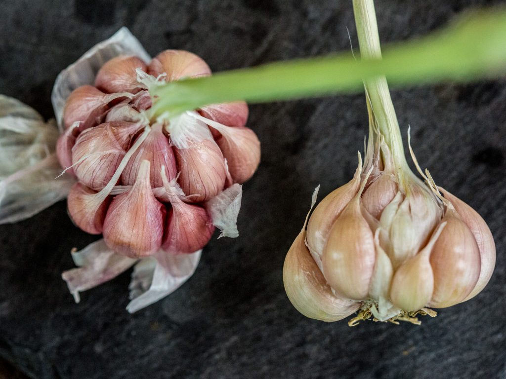 organic garlic clove for raw vegan recipes