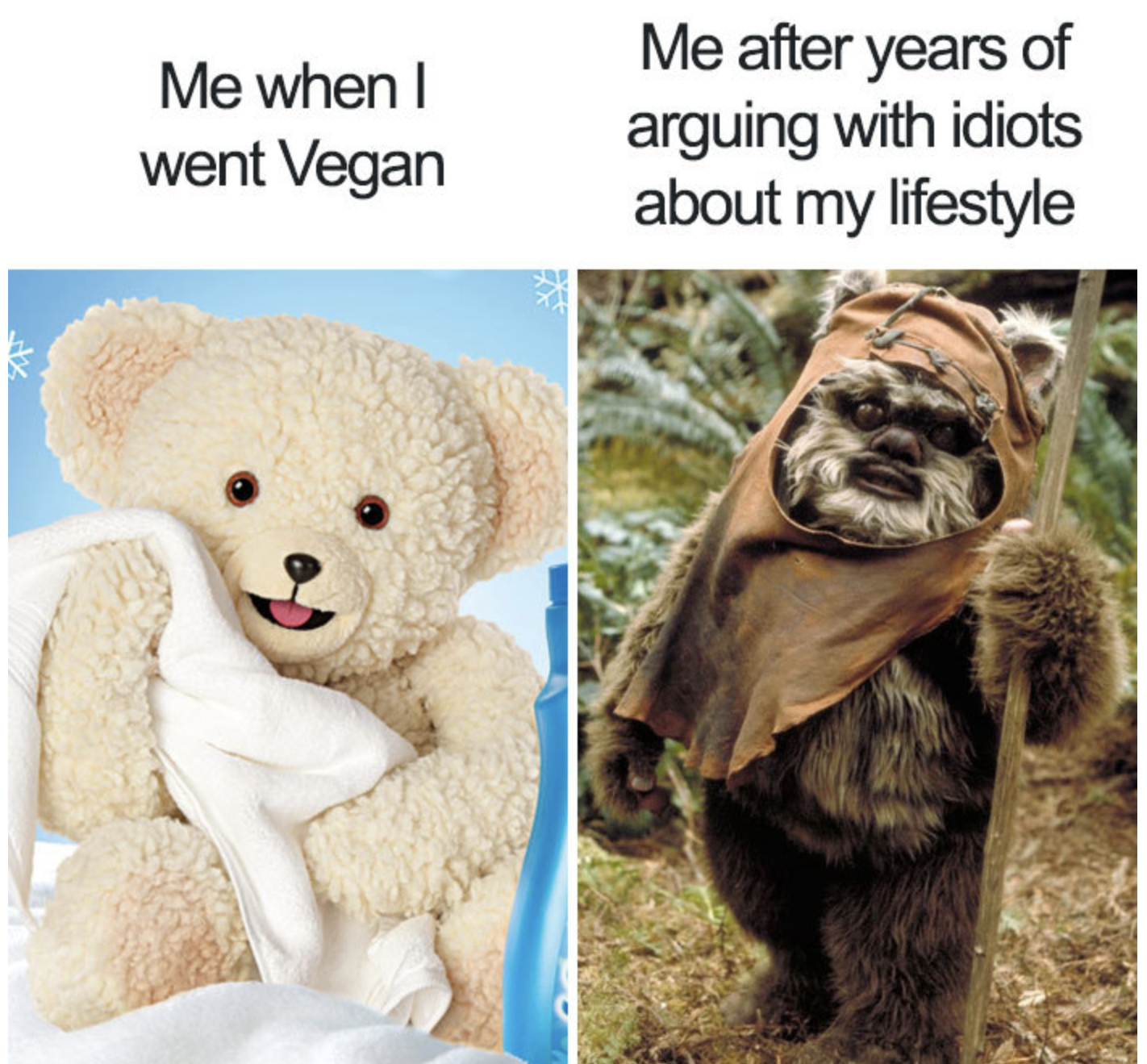 Vegan Meme.