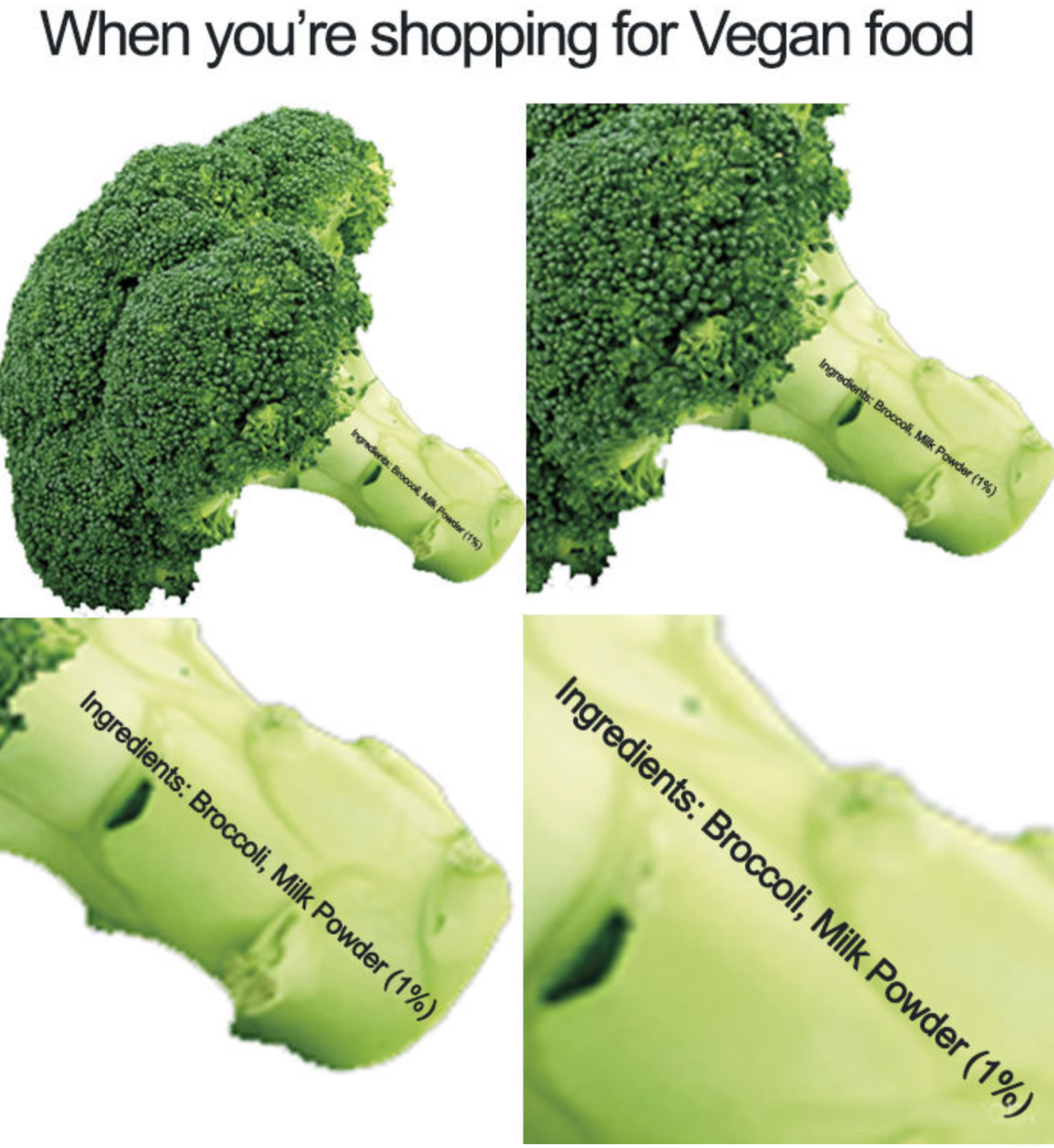 vegan Meme