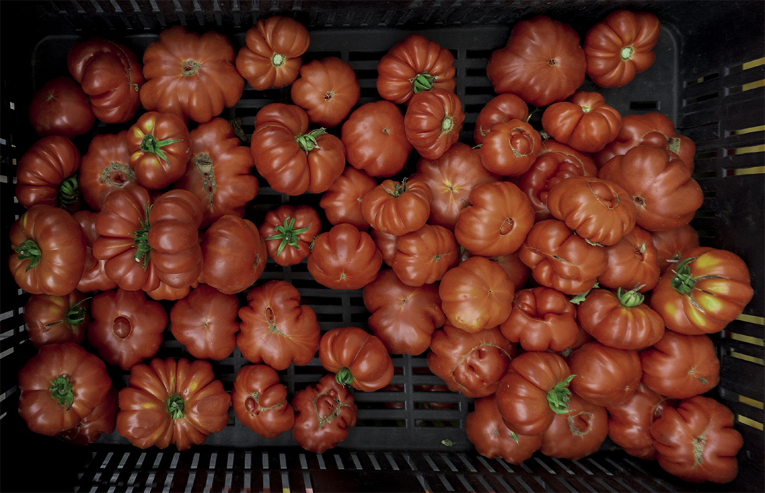 mom park organic market budapest tomatoes organic