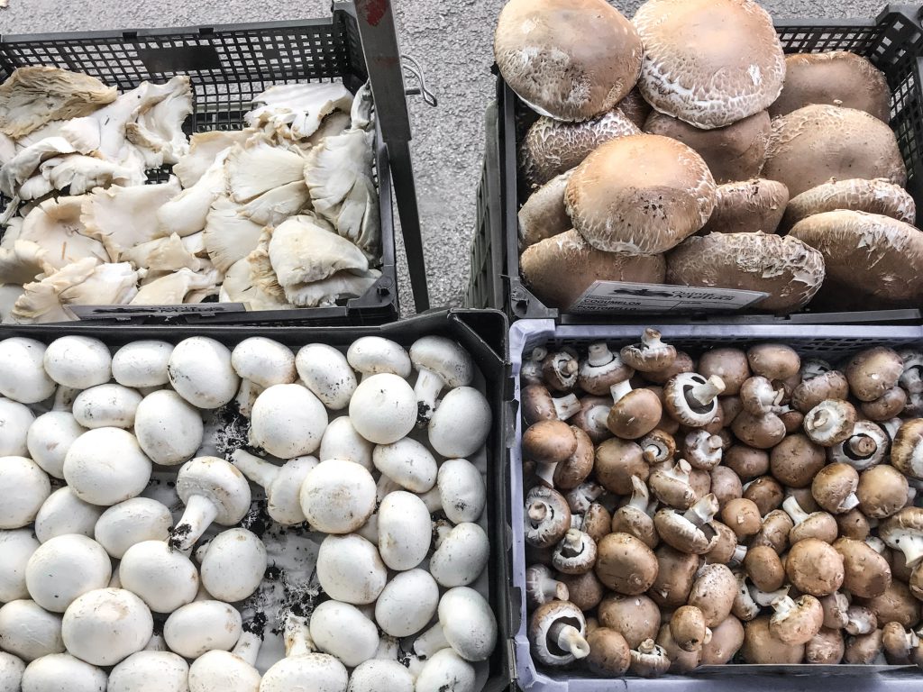 Portobello-Pilze auf dem Biomarkt.