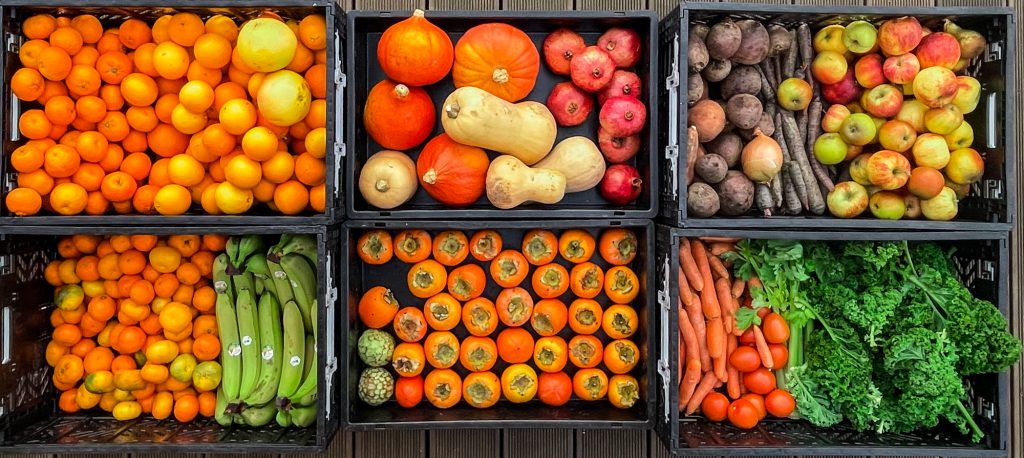Obst und Gemüse aufbewahren. So verdirbt es nicht.