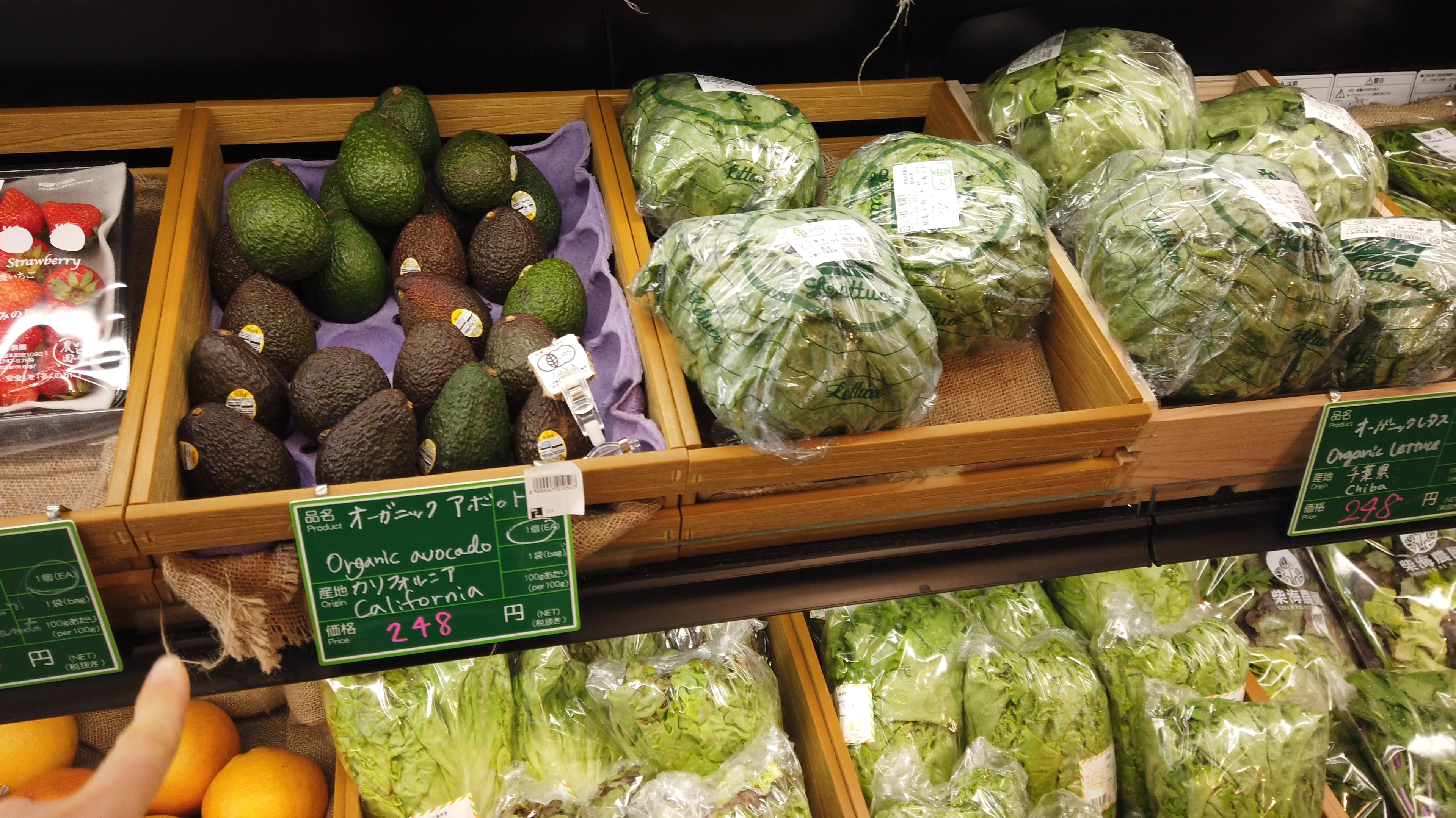 Organic Cabbage in avocado