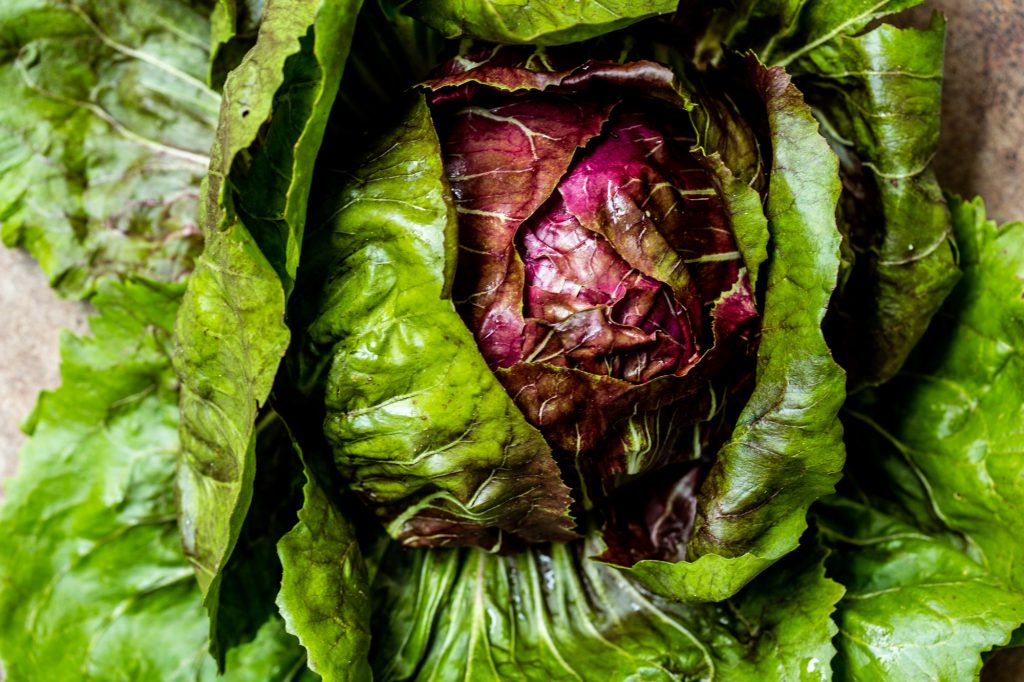 Für grüne rohkost Salate. Blattsalat kaufen und lagern.