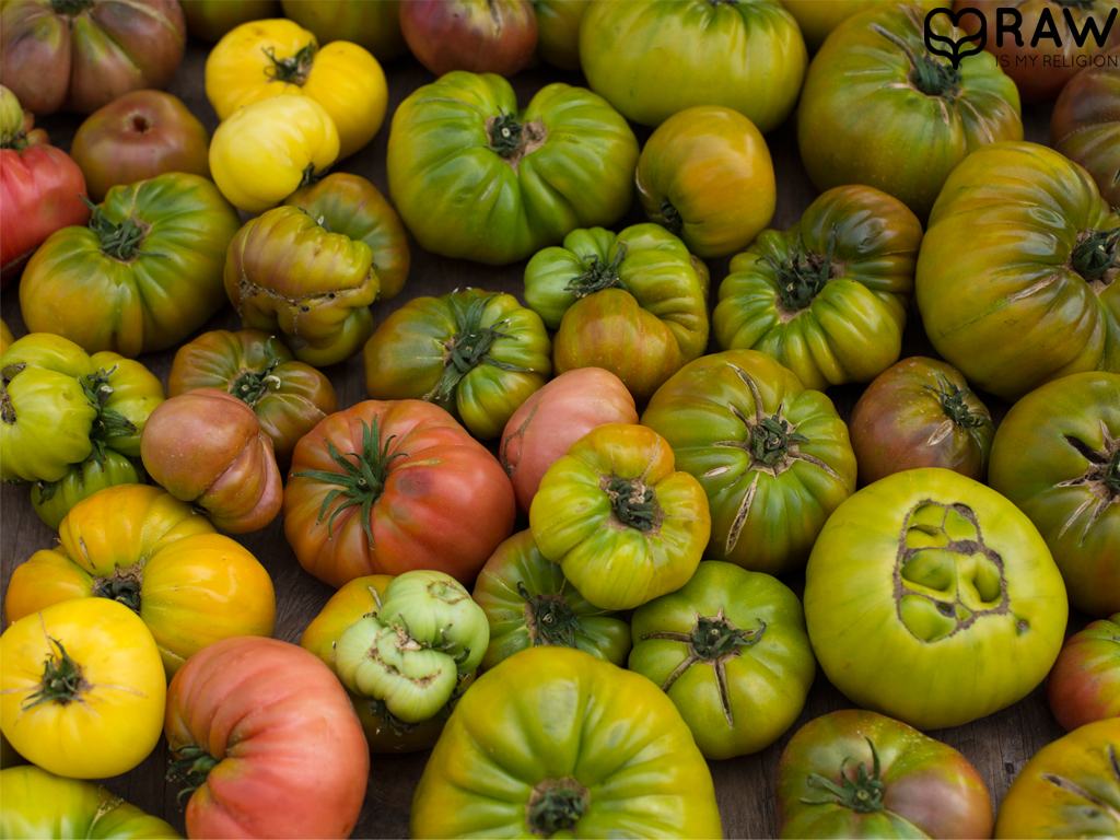 Grüne unreife Tomaten.