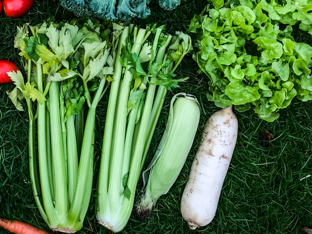 Bio Rettich für vegane Rohkost Rezepte.