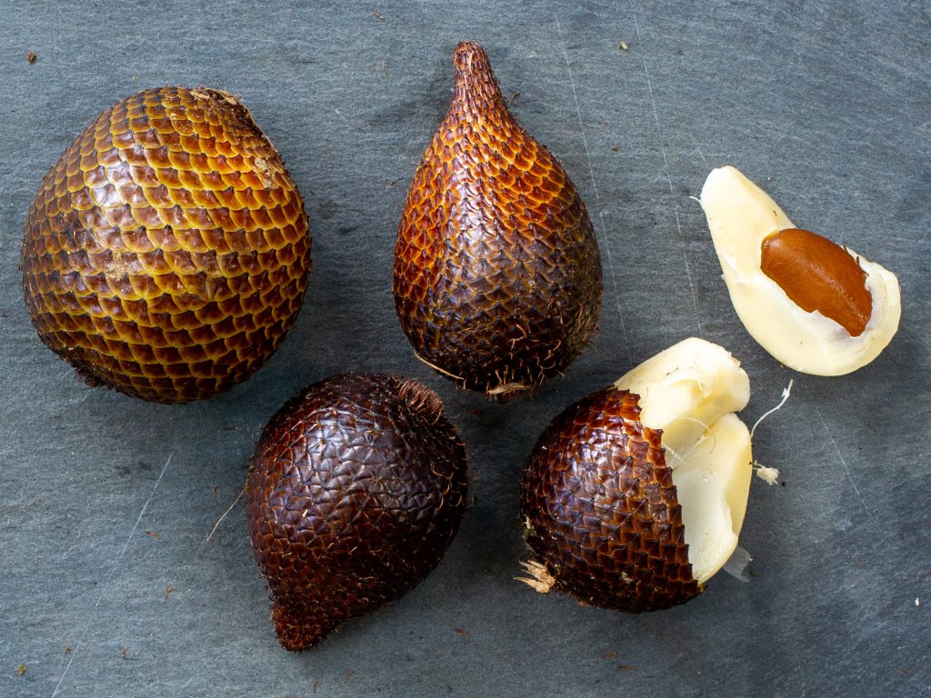 Snake Fruit Rawismyreligion