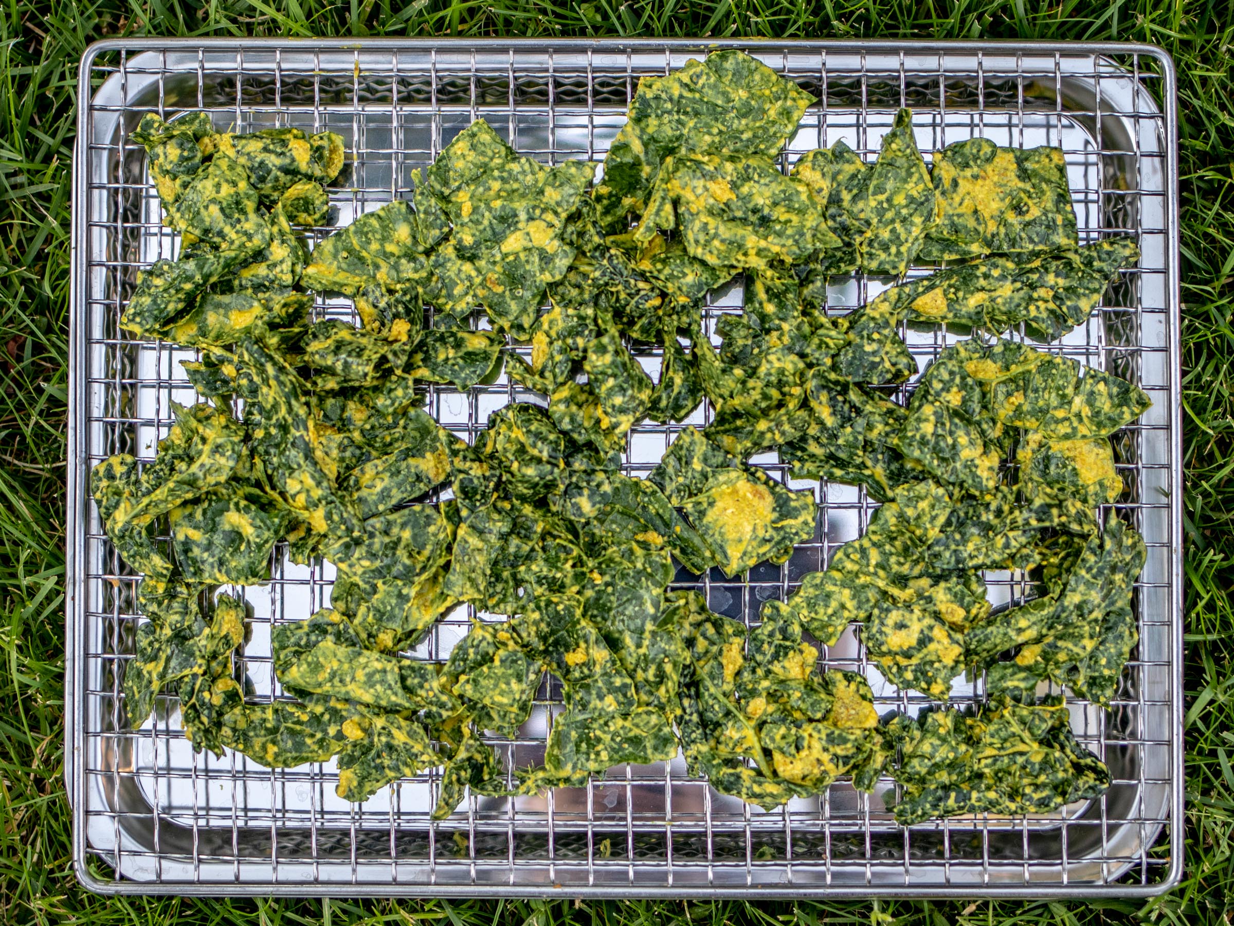 Super easy kale chips