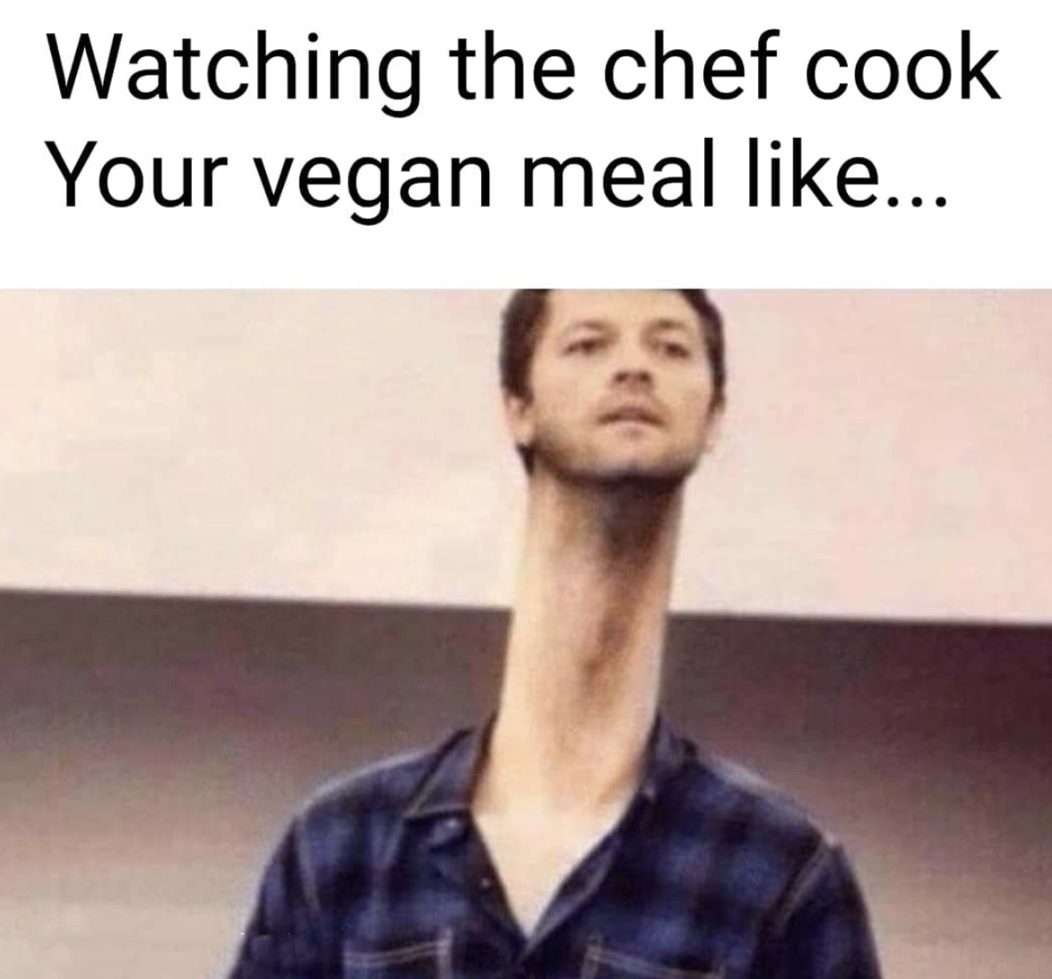 vegan Meme