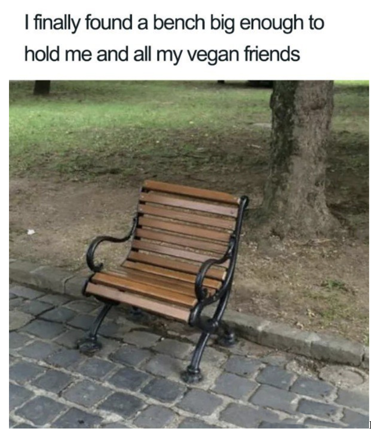 vegan Meme