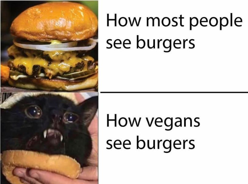 Vegan Meme