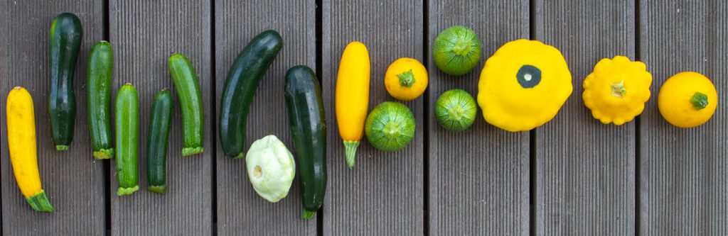 Raw vegan recipes with organic zucchini.
